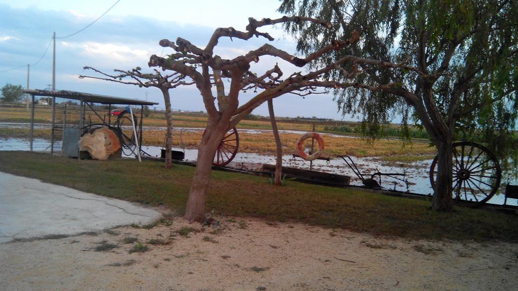 Caseta Montanyana Deltebre Εξωτερικό φωτογραφία