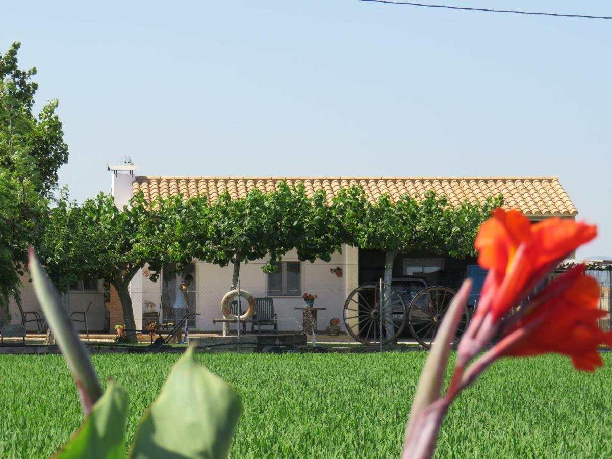 Caseta Montanyana Deltebre Εξωτερικό φωτογραφία